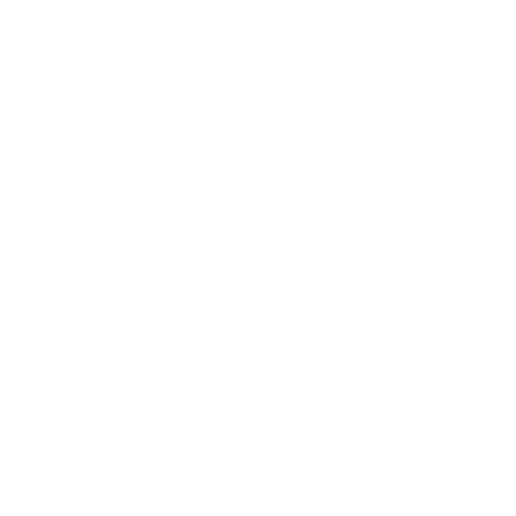 Sony White Logo